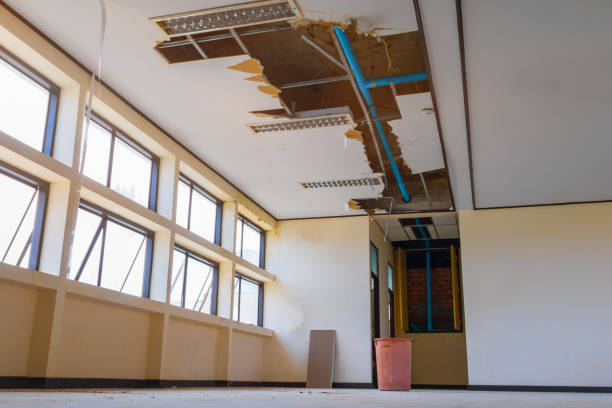 Best Fire Damage Restoration  in Zachary, LA