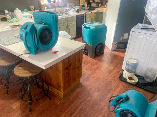 Best Water damage contractors near me  in Zachary, LA