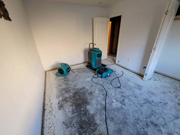 , LA Water damage restoration Company