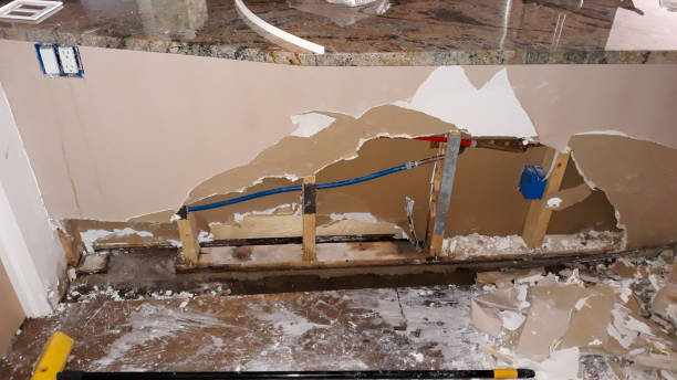 Best Water damage contractors near me  in Zachary, LA