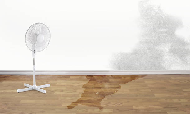 Best Flood damage cleanup  in Zachary, LA