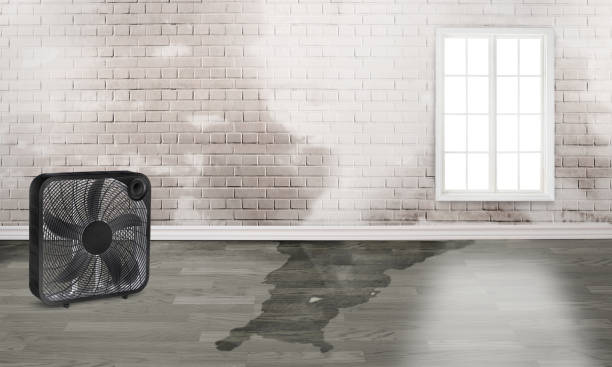 Local water damage restoration in LA