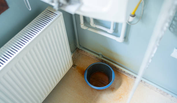 Best Local water damage restoration  in Zachary, LA