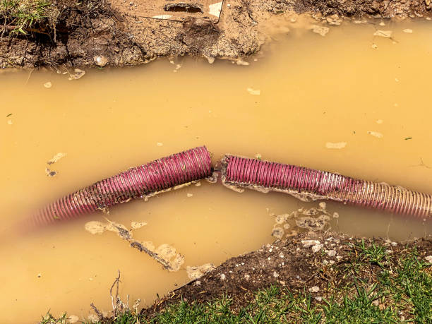 Best 24-hour water damage restoration  in Zachary, LA