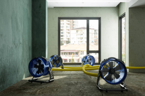 Best Water damage restoration near me  in Zachary, LA